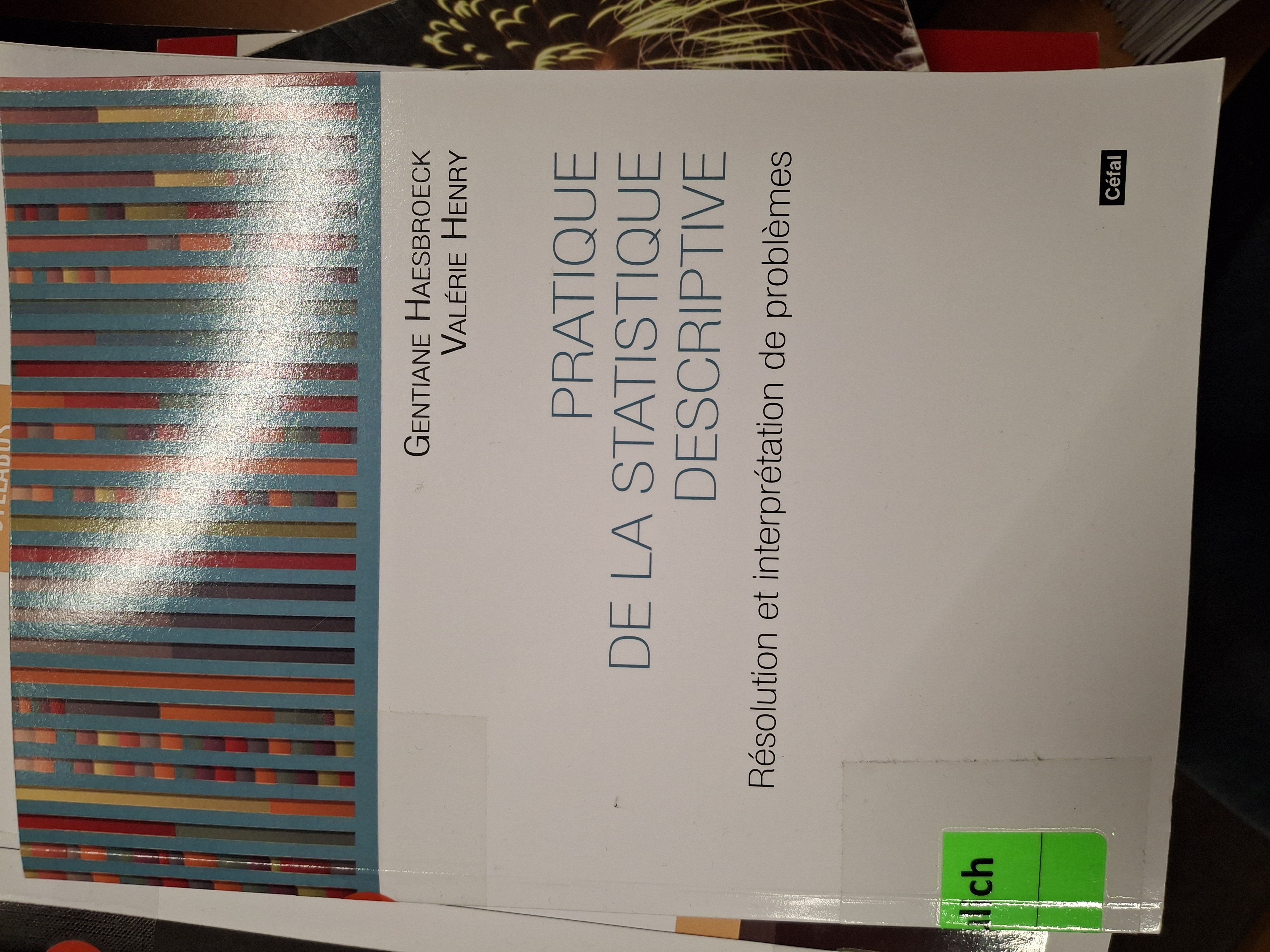 Pratique de la statistique descriptive: Résolution et interprétation de problèmes